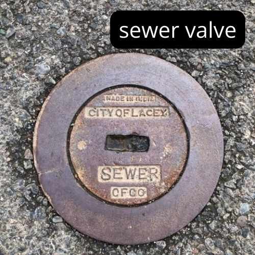 small brown round metal valve cover with sewer in large letters
